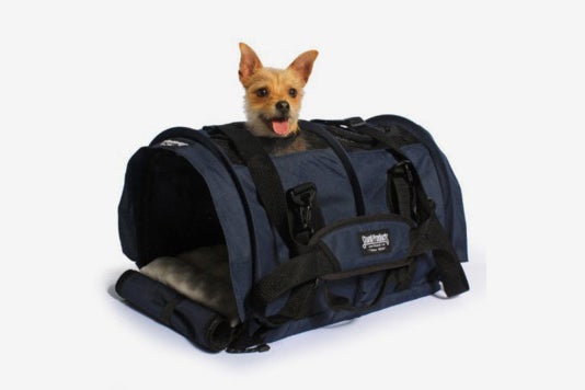 Small dog in the SturdiBag Large Flexible Height Pet Carrier.